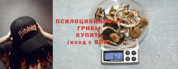 твердый Алексин