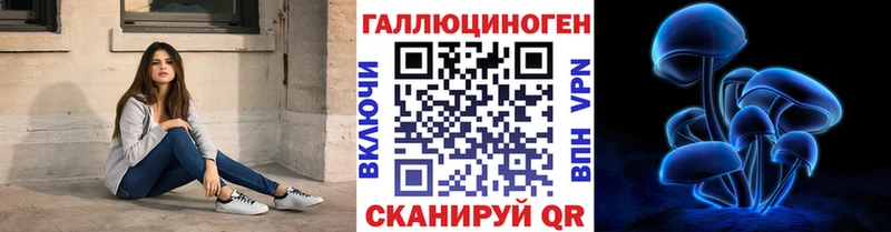 Псилоцибиновые грибы Psilocybe  Темрюк 
